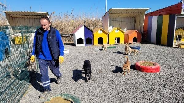 <p>Bir bacağı ameliyat edilmiş, 3 bacaklı kalmış veya artık kendini koruyamayacak halde olan köpeğimize, yavrularımızı bu barınakta çok güzel bir şekilde baktırıyor. </p>
