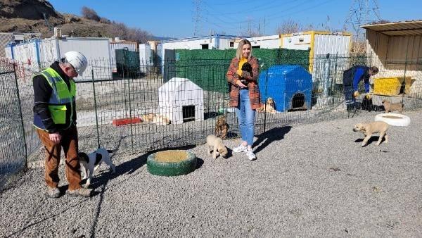 <p>KALAN YEMEKLERLE BESLENİYORLAR </p>
<div> </div>
<div>Şantiyede işçiler için çıkan yemeklerden artanları çöpe atmak yerine barınaktaki hayvanların beslenmesi için kullandıklarını söyleyen Coşkun, "Dost Patiler Derneği ile iş birliği içerisinde özellikle hasta olan hayvanlara bakıyoruz. Aynı insan gibi. İnsan nasıl hasta oldu mu doktora gidiyor, bu hayvanlarda bir gariplik, hastalık emaresi gördüğümüz zaman derneği arıyoruz. Dernek bize veteriner yönlendiriyor. Bu şekilde bakımlarını da yapıyoruz" dedi.</div>
