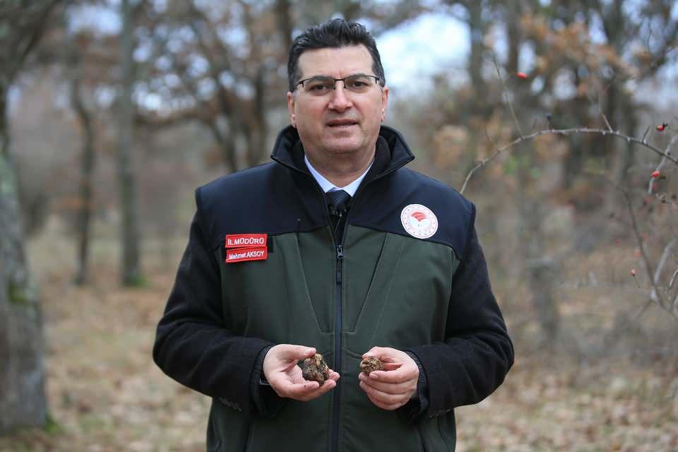 <p>Bu alanda uzmanlaştıktan sonra İstanbul'un stresinden uzaklaşmak amacıyla Kırklareli'ne göç ettiğini belirten Arslan, "Yaklaşık 15 yıldır mantar topluyorum. Yer tespitini yaptıktan sonra köpeği trüfün olabileceği yerlere yönlendirmeye çalışıyoruz. Topladığım trüf özellikle yurt dışında çok rağbet görüyor. Yavaş yavaş talepler çoğalmaya başladı ama çoğunluk yurt dışından." dedi.</p>

<p>​</p>
