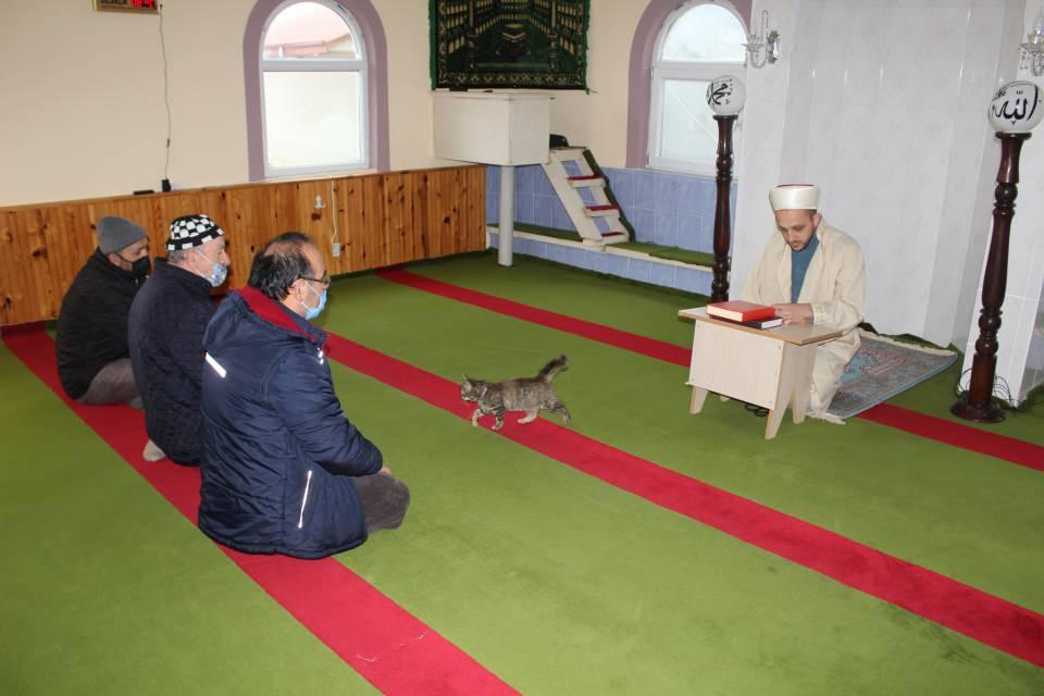 <p>Müsait olduğum zamanlarda ormanlara, doğalara çıkıyorum ve vaktimi değerlendirmeye çalışıyorum. Şu ana kadar yaklaşık 150 farklı kuş türü kaydettim. Hedefim de biraz yavaş ilerliyorum ama inşallah daha fazlasını yapacağım. </p>
