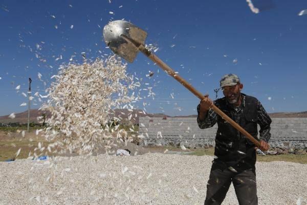 <p>'Eşmekaya yoğurdu', 'çerezlik kabak çekirdeği', 'Aksaray yoncası' ve bununla birlikte çerezlik ayçiçeğinde bu yıl bu birinciliği bir coğrafi işaret alarak tescilletmek istiyoruz. Bununla ilgili çalışmalarımız başlayacak" diye konuştu.</p>