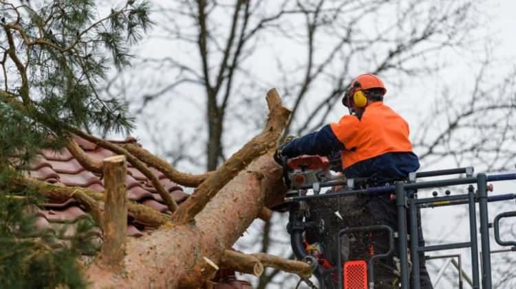 <p>Devrilen ağaçlar nedeniyle Bavyera ve Kuzey Ren Vestfalya eyaletlerinde yaklaşık 60 bin aile elektriksiz kaldı.</p>
