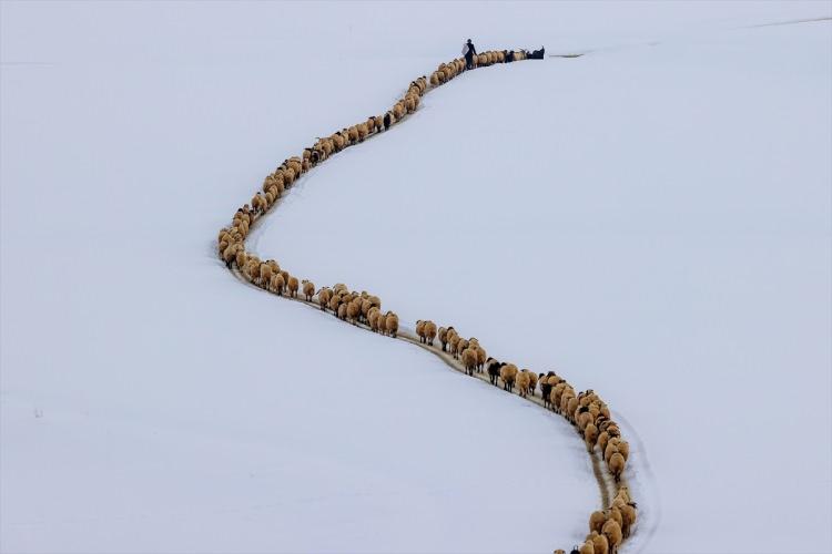 <p>İlçeye 75 kilometre uzaklıktaki Çepkenli ve Topçudeğirmeni mahallelerinde de günün ilk ışıklarıyla işe koyulan besiciler, at ve eşeklerle taşıdıkları otları, köyün uzağına götürüyor.</p>

<p> </p>
