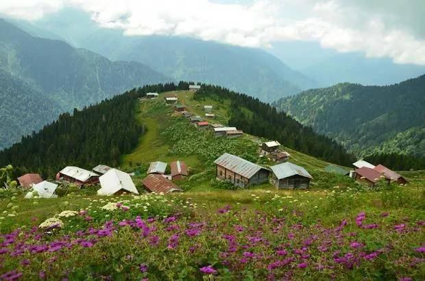 <p>Rize- 308 bin 439 kişi</p>
