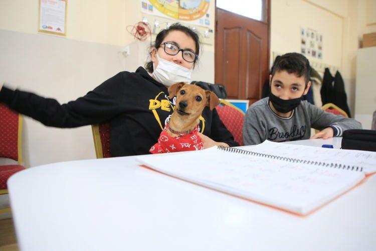 <p>Mersin'de ortaokul müdürünün özel eğitim sınıfına getirdiği ve öğrencilerin "Tarçın" adını verdiği köpek, engelli çocukların sınıf arkadaşı oldu.</p>
