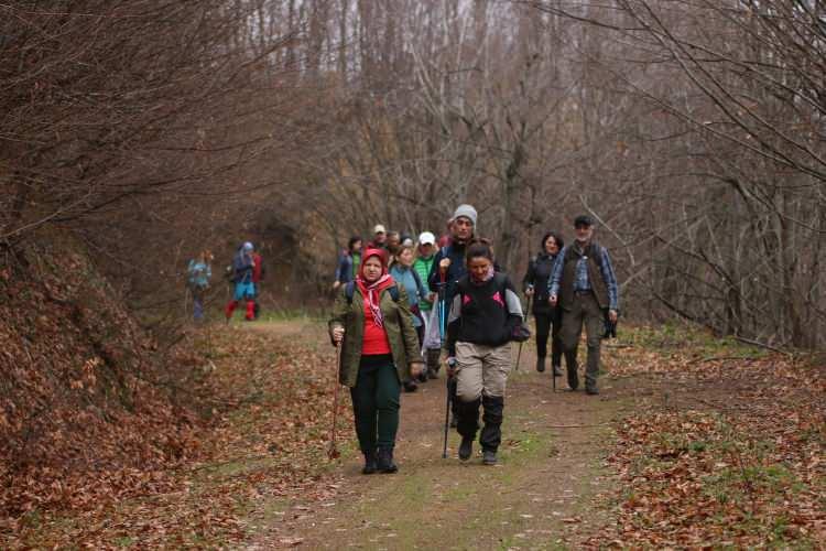 <p>Yalova'nın Termal ilçesinden Kurtköy köyüne servislerle giden Yalova Ekoturizm ve Sağlıklı Yaşam Derneği üyeleri, Sufi Yolu'nun yaklaşık 16 kilometre uzunluğundaki Kurtköy-Güneyköy rotasında yürüdü.</p>