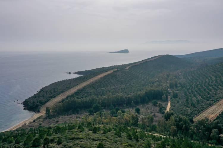 <p>İzmir'in Seferihisar ilçesinde 2009'da çıkan yangında zarar gören deniz kıyısındaki 1090 hektarlık orman alanı, aradan geçen 12,5 yılda boyları 4-5 metreye ulaşan ağaçlar ve aromatik bitkilerle yeniden yeşeriyor.</p>
