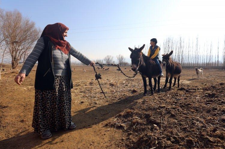 <p>Annelerinden ayrılan kuzu ve oğlaklar farklı ahırlara koyulup burada beslenmeleri ve bakımları yapılıyor. Daha sonra geniş bir alana &ccedil;ıkarılan anneler, burada yavrularına kavuşmak i&ccedil;in bekliyor.&nbsp;</p>
