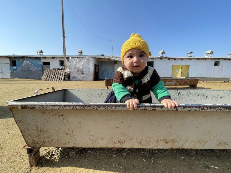 <p>Kuzuların ve annelerinin, y&uuml;zlerce k&uuml;&ccedil;&uuml;kbaş hayvandan oluşan s&uuml;r&uuml; i&ccedil;inde birbirlerini meleyerek kısa s&uuml;rede bulması dikkati &ccedil;ekiyor.</p>
