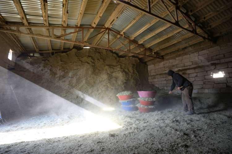 <p>Kente bağlı Halfeli beldesinde &ccedil;ift&ccedil;ilik yapan Hamit Karadağ, AA muhabirine, kuzuların d&uuml;nyaya gelmesiyle &ccedil;ift&ccedil;iler arasında adeta bir bayram havası yaşandığını s&ouml;yledi.</p>
