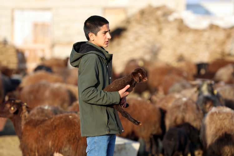<p>"Saman ve arpayı kışın koyunlara yetirmek i&ccedil;in yazın hazırlıyoruz. Yazın arpa ve saman almasak kışın &ccedil;ok pahalı oluyor. Mesela yazın balya aldık, getirdik patosa vurduk ve kış i&ccedil;in saman yaptık, kışın 3-4 aylık s&uuml;re&ccedil;te hayvanlarımızı b&ouml;yle besliyoruz.&nbsp;</p>
