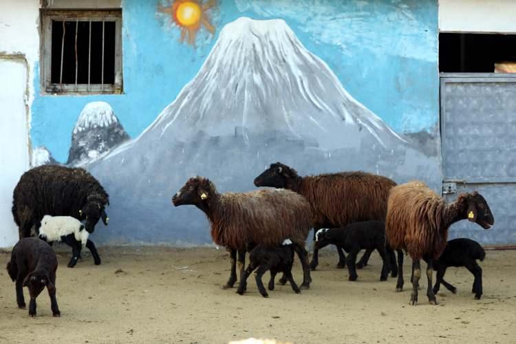 <p><strong><a href="https://video.haber7.com/video-galeri/205122-dogunun-cukurovasi-yeni-dogan-kuzu-ve-oglaklarla-senleniyor"><span style="color:#000000">G&Ouml;KY&Uuml;Z&Uuml;NDEN KUZU VE OĞLAKLARIN M&Uuml;THİŞ BULUŞMASI</span></a></strong></p>
