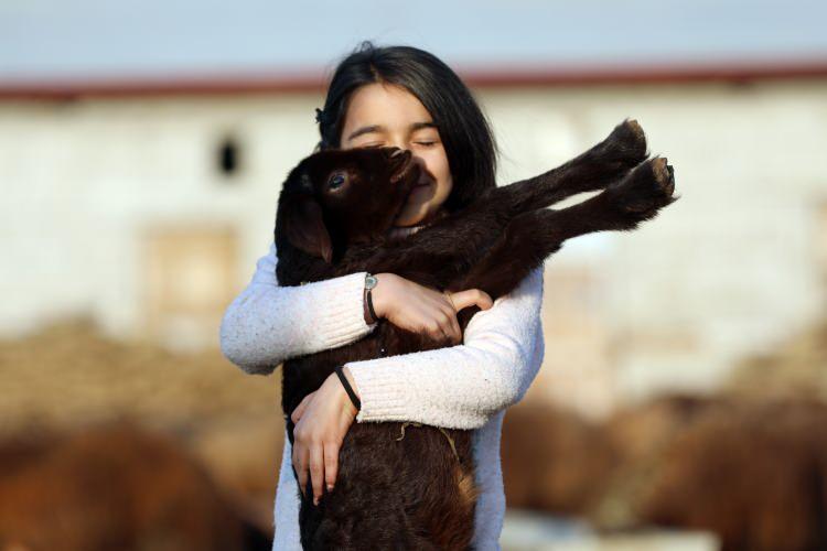 <p><strong><a href="https://video.haber7.com/video-galeri/205122-dogunun-cukurovasi-yeni-dogan-kuzu-ve-oglaklarla-senleniyor"><span style="color:rgb(0, 0, 0)">G&Ouml;KY&Uuml;Z&Uuml;NDEN KUZU VE OĞLAKLARIN M&Uuml;THİŞ BULUŞMASI</span></a></strong></p>
