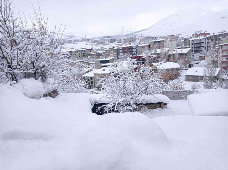 <p>Bingöl, Bitlis,</p>
