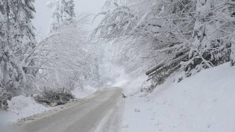 <p>Bitlis<br />
<br />
Perşembe: Karla karışık yağmur<br />
Cuma: Kar yağışlı<br />
Cumartesi: Kar yağışlı</p>
