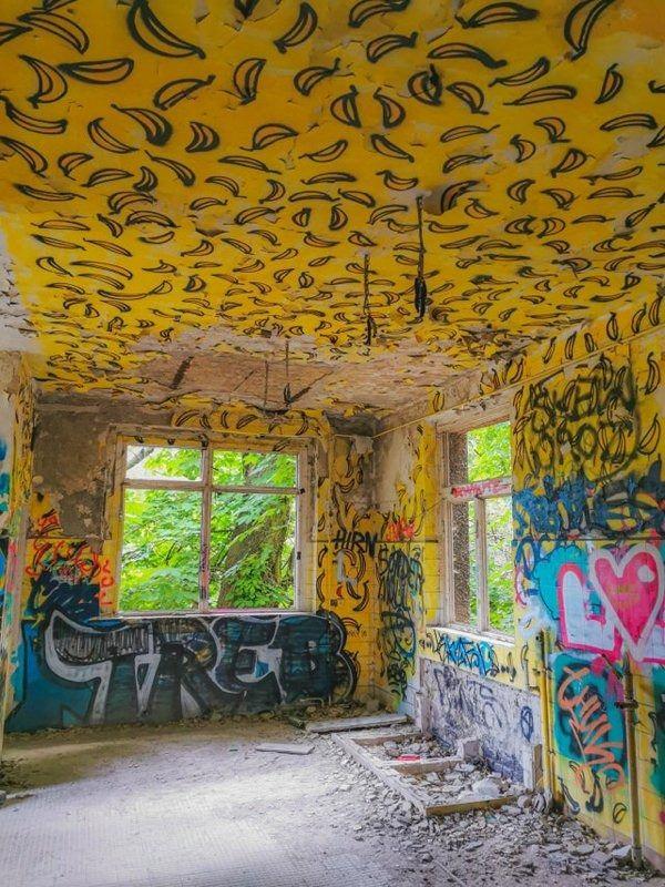 <p>Almanya'da terk edilmiş bir hastanede bulunan muz odası.</p>

<p>&nbsp;</p>
