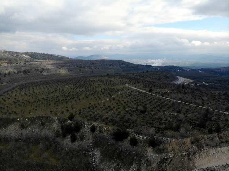 <p>- "Yeni yerlerinde yeşerip zeytin veriyorlar"</p>
<p> </p>
<p>Yeraltı kaynaklarını ekonomisine katmayan, katamayan ülkelerin gelişmiş ülkeler statüsüne girmesinin oldukça zor olduğunun altını çizen Tiryaki, şöyle konuştu:</p>
