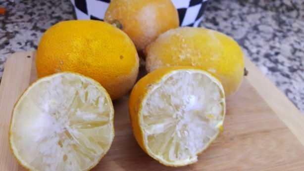 <p><span style="color:#800080"><strong>Diyet listelerinin vazgeçilmezi olarak da bilinen limon tam bir c vitamini kaynağıdır. Yemeklerde, çorbalarda, el- tırnak bakımında, temizlikte ve daha birçok yerde kullanılmaktadır. Etkisi büyük olan ve ödem ve toksin attırıcı etkisiyle kilo vermenizi sağlayan limonun kabuklarıda tam bir şifa deposudur. </strong></span></p>
