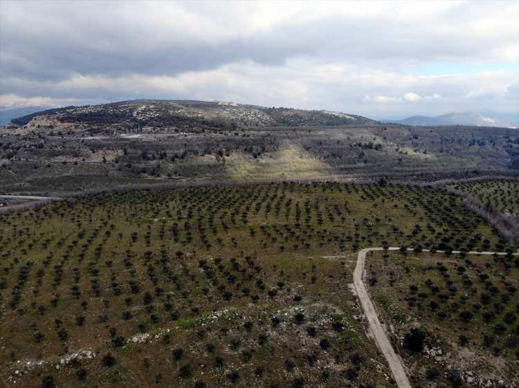 <p>Kuruluşlarının bölge ve ülke ekonomisine büyük katkı sağladığını vurgulayan Tiryaki, "İthal karbon kaynaklarına ulaşımın oldukça maliyetli olduğu, özellikle bu son dönemde ülkemizin enerji arz güvenliği ve sürdürülebilirliği anlamında yüksek stratejik bir değere sahip olan santralimiz, yerli kaynaklarla üretim yaparak ülke ekonomisine ve bölge istihdamına da oldukça önemli katkı sağlamaktadır." dedi.</p>
