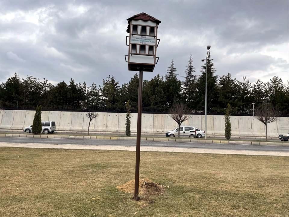 <p>Belirledikleri günlerde besleme çalışması gerçekleştirdiklerini anlatan Yıldım, sokak hayvanlarının sıcak yuva ve besine ulaşması için ellerinden geleni yaptıklarını söyledi.</p>
<p> </p>