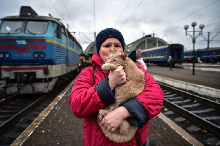 <p>Ukrayna’nın Lviv şehrindeki tren istasyonunda, ülkede başlayan çatışmaların ardından savaştan kaçan siviller nedeniyle gece gündüz büyük yoğunluk yaşanıyor.</p>
