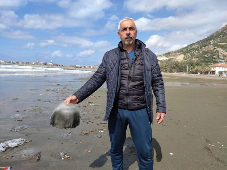 <p>Çevre sakinlerinden Mahmut Faraç, 50 yıldır Çevlik bölgesinde yaşadığını belirterek, "Denizanasını ilk defa bu aylarda görüyorum. Normalde temmuz ve ağustos aylarında sahile gelir ama bu kadar aşrı ölüm olmazdı</p>
