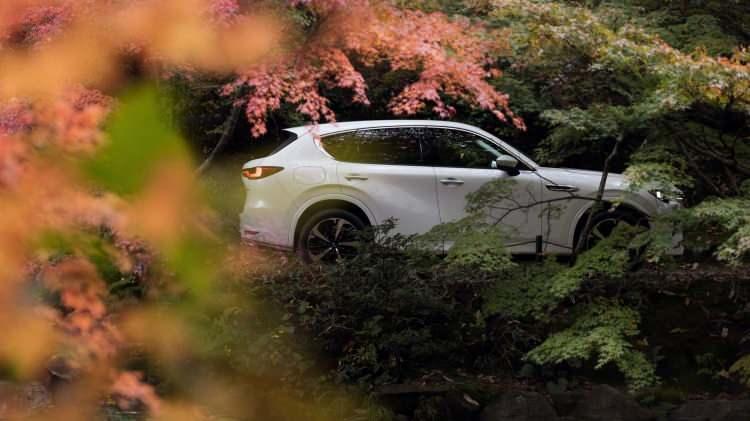 <p>Mazda'nın yeni SUV'u bolca depolama alanı sunuyor. Arka koltuklar dik konumdayken 570 litre bagaj hacmi sunan araç, koltuklar düz bir şekilde yatırıldığında 1,148 litre bagaj hacmine ulaşıyor.</p>

<p> </p>
