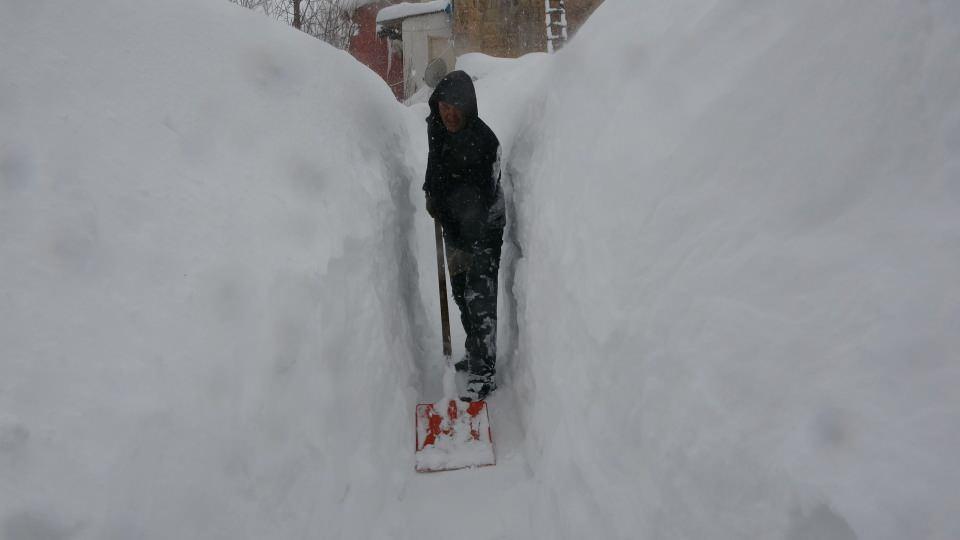 <p>BİTLİS</p>
