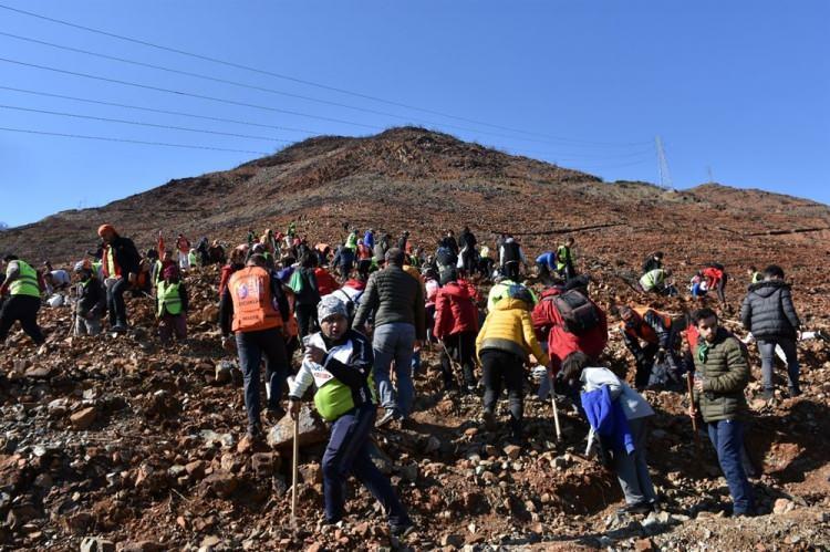 <p>Muğla Orman Bölge Müdürü Yasin Yaprak, Marmaris'te yanan alanların yeşillendirilmesi için çalışmaların sürdüğünü söyledi.</p>
<p> </p>