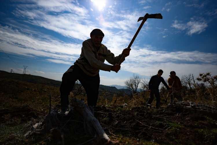 <p>Duran Gümüş de diğer işçiler gibi çalışmak için geldiği İzmir'de sabah erken saatlerde kazmasını ve fidan tablasını alarak o gün çalışacağı sahaya ulaşıyor.</p>

<p> </p>
