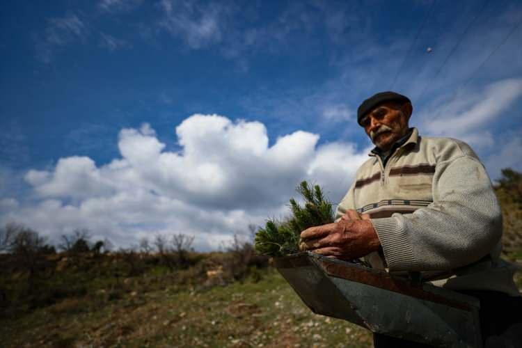 <p>Fidan tablasına, dikilecek fidanları koyan Gümüş, kazmasıyla toprağı kazıyor ve fidanı dikiyor. Gümüş, beden gücü istediği için genellikle gençlerin çalıştığı işte yaşlı olmasıyla dikkati çekiyor.</p>

<p> </p>
