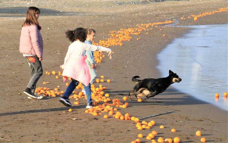 <p>Turistler fotoğraf çekinirken, çocukların bir köpeğe yakalaması için sürekli portakal atarak oyunlar oynaması dikkat çekti.</p>
