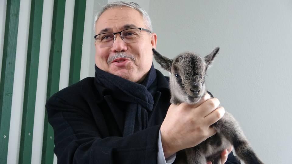 <p>Muş Valiliği tarafından açılan ve 18 tür hayvana ev sahipliği yapan hayvanat bahçesinde yeni bir cüce keçi dünyaya geldi. Muş Valisi İlker Gündüzöz'ün girişimleriyle 888 dönüm alanda inşa edilen Sultan Alparslan Parkı içerisindeki hayvanat bahçesi, 18 tür ve 67 hayvanı barındırıyor. </p>
