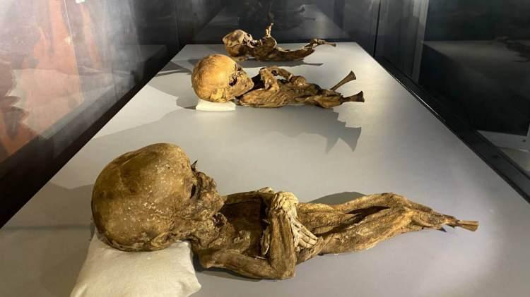 <p>Kedi, bebek ve yetişkin insandan oluşan toplam 13 mumya, Türkiye’nin ilk ve tek mumya seksiyonuna sahip Aksaray Müzesi`nde sergileniyor.</p>

<p> </p>

