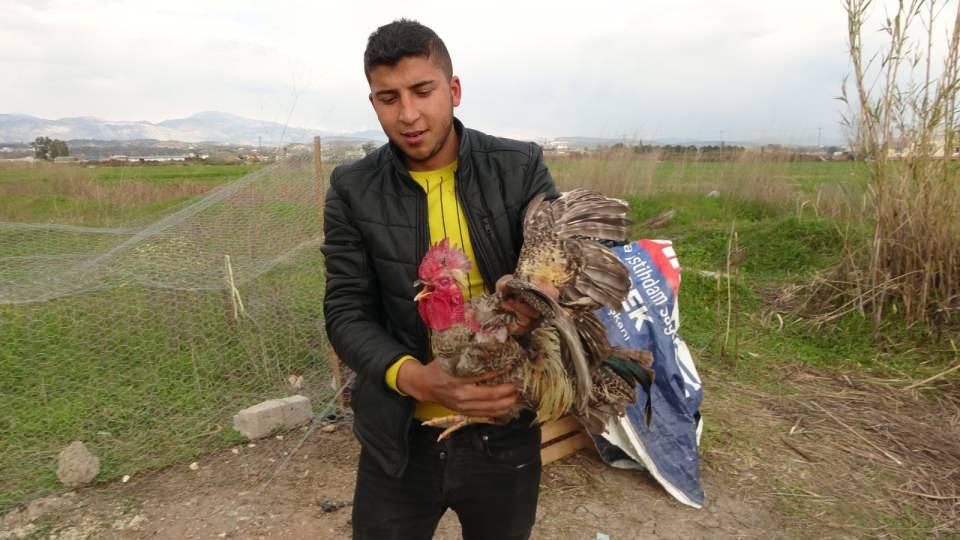 <p> Horozun kanatlarını ayaklarının altına alan ve kesmek için bıçağı boynuna dayayan Dibek ve eşi hayatlarının en büyük şaşkınlığını yaşadı.</p>