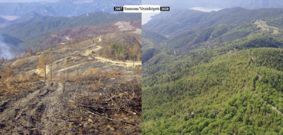 <p>Türkiye'deki orman varlığı, Orman Genel Müdürlüğünün yaptığı bakım, rehabilitasyon, ağaçlandırma çalışmaları ve çeşitli eylem planlarıyla her yıl düzenli olarak artıyor. Ülkenin orman varlığı geçen yıl 177 bin hektar daha artarak, 23,1 milyon hektar oldu.</p>

<p> </p>
