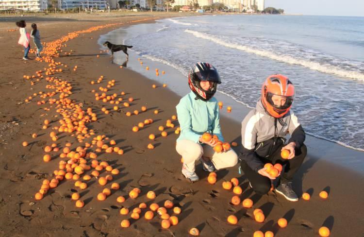 <p> Mersin’de dereden akıntıyla gelerek denize döküldüğü değerlendirilen çok miktarda portakal sahili kapladı. Rus turistler ve çocuklar gördükleri manzara karşısında şaşkına döndü</p>
