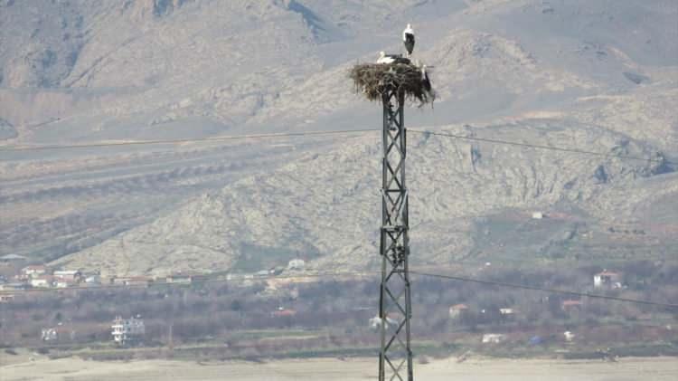 <p>Geçen sonbahar göç eden leylekler, havaların ısınmasıyla Kale ilçesindeki Karakaya Baraj Gölü yakınlarında bulunan elektrik direkleri üzerindeki yuvalarına dönmeye başladı.</p>

<p> </p>
