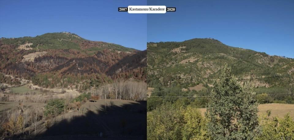 <p>Ormanların yetiştirilmesi ve devamlılığı için 389'u revize olmak üzere 600 plan düzenlendi, 32 bin 435 hektarda doğal gençleştirme ve 18 bin 798 hektarda yapay gençleştirme çalışması geçen yıl tamamlandı. Doğal ve yapay gençleştirme çalışmaları için toplam 216 milyon 152 bin 859 lira harcama yapıldı.</p>
<p> </p>