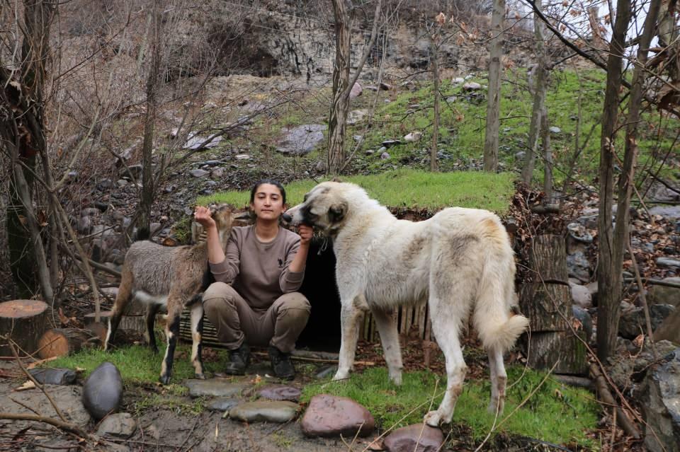 <p>Hakkari'nin Çukurca ilçesine bağlı Narlı köyünde oturan Cevahir İlhan (30), yaralı bulup kendi imkanlarıyla tedavi ettikten sonra doğaya saldığı yavru dağ keçisi geri dönünce, ona evinin yakınında barınak yaptı. Sık sık barınakta kalan İlhan, doğa videoları çekip, takipçileriyle paylaşıyor.</p>

<p> </p>
