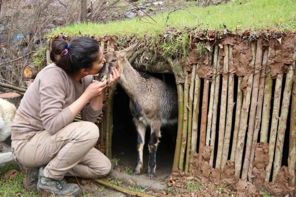 <p>Irak sınırındaki Çukurca ilçesine bağlı Narlı köyünde oturan Cevahir İlhan, 2 yıl önce 'Paşa' isimli köpeğini gezdirirken yaralı yavru dağ keçisi buldu. İlhan, evinde kendi imkanlarıyla tedavi edip, bakımını yaptığı keçiyi doğal ortamına bıraktı. </p>

