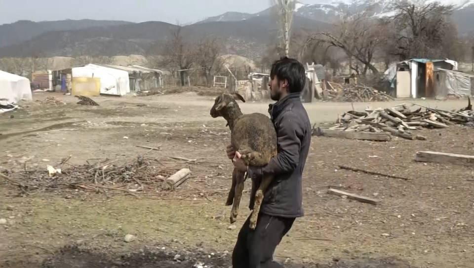 <p>5 dakika sonra birden alev aldı kurtaramadık kapılarını açamadık mahvolduk. 200-250 hayvanım vardı 20-30 tanesi kaçtı. </p>

