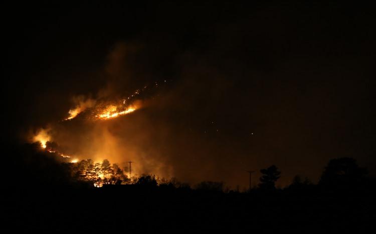 <p>Çanakkale, Bursa ve Bilecik'teki orman yangınlarına müdahale sürüyor.</p>

<p> </p>

