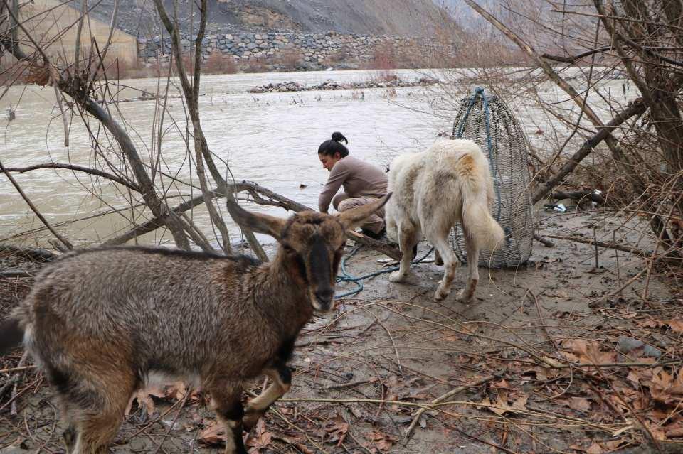 <p>Balık tutmaya, doğada gezmeye gittiğimde keçim ile köpeğim bana eşlik ediyor. </p>