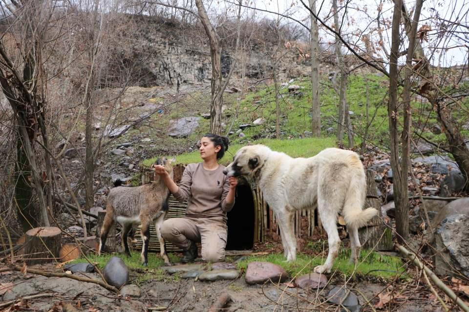 <p>Onlar için barınak yaptım, bazen onlarla beraber yatıyorum. Amacım; bir kadın isterse her şey yapabilir. Doğada da yalnız kalabilir." dedi.</p>