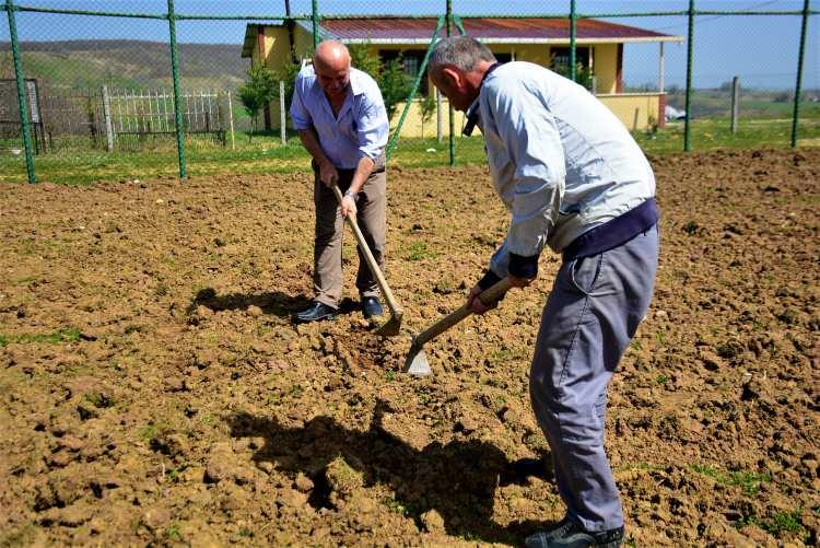 <p><strong>“İnşallah yeriz”</strong><br />
Bölgelerinde soğan ekme dönemi olduğu için ve mahsulünü hızlı alabilecekleri için bu kararı aldıklarını söyleyen Yılman, “Neden soğan? Çünkü bölgemizde tam olarak şu an soğan ekme dönemi. Benim de bir anda aklıma gelen soğan oldu. Soğanı buradan yola çıkarak yapmak istedik. Soğanı şimdiden ekerseniz en azından 5 ay sonra mahsulü alırsınız. Bizim futbol sahamız da böyle bir şey. Her geldiklerinde 5 ay geçtiği için ben dedim ki ‘Bir daha gelirlerse bu soğanı buradan çıkartırım’. Bu şekilde düşündüm ve böyle bir karar aldık. Ekme işlemlerine de başladık, ektik sayılır. İnşallah yeriz. Biz tarlada çapa yaparken bir taraftan çapayı vurur ve soğanı koyar, üzerini de kapatırız. Soğan böyle ekilir, bölgemiz genelinde de böyle ekilir. 15 - 20 gün sonra da dürter ve biter. Şu anda bitme aşamasında. Bittikten sonra tabii ki sizler de görürsünüz” ifadelerini kullandı.<br />
</p>