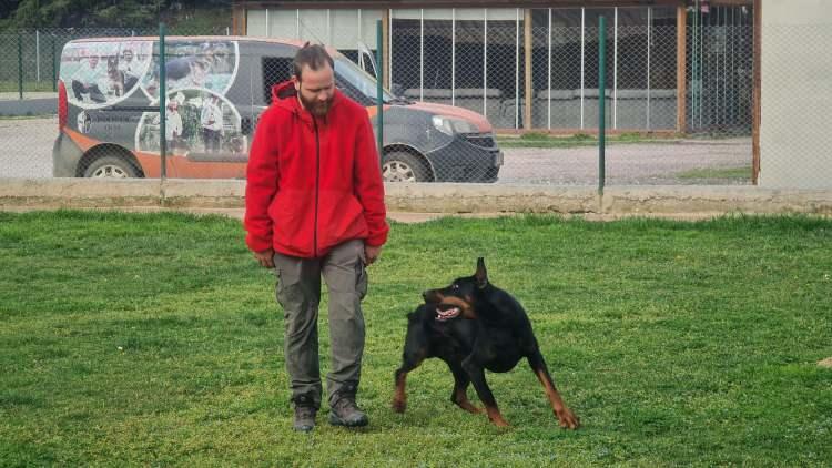 <p>Kocaeli'nin Kartepe ilçesinde, köpek eğitim merkezinde çalışan köpek eğitmeni Semih Soydemir, olası köpek saldırısında soğukkanlılığın çok önemli olduğunu belirterek, "Köpekle kesinlikle göz teması kurulmamalı. Göz teması kurmak, meydan okumak demektir" dedi</p>
