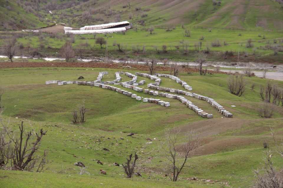 <p>Bağlar köyü ve Güveç mezrası, Şemdinli-Derecik yolu güzergahı ve Pesan Çayı'nın en çok tercih edilen yerler olduğu bilgisini veren Taş, "Mayıs ayının başında arıcılarımız kovanlarını diğer yüksek alanlarda konaklatıyor. </p>