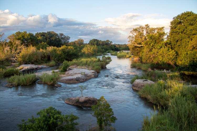<p>Güney Afrika Cumhuriyeti’nin kuzeydoğusunda bulunan ve Afrika'nın en önde gelen safari merkezlerinden biri olan Kruger Ulusal Parkı, ziyaretçilerine Afrika'nın vahşi doğasını deneyimleme fırsatı sunuyor.</p>
