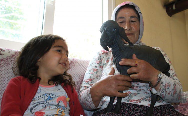 <p><strong>"Aynı çocuk gibi bakıyorum"</strong><br />
<br />
Oğlakla yakından ilgilenen Aysel Tosun da "Annesini emzirmeye götürüyorum, torunlarımın kıyafetlerini giydiriyorum. Eve getiriyorum. Böyle besliyorum hiç tüyü yok. İlk defa böylesini gördüm, aynı çocuk gibi bakıyorum. </p>

